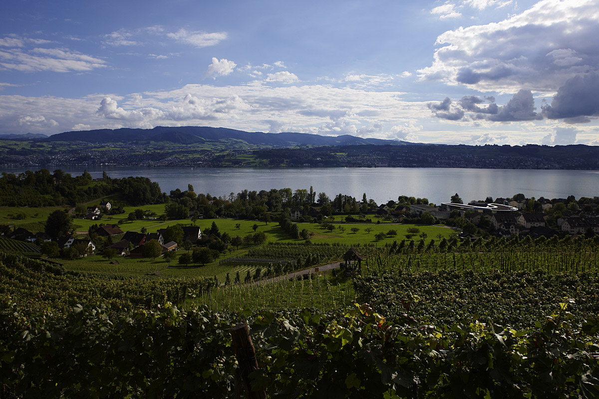 Swarovski Hauptverwaltung in Zürich - Blick aus der Entfernung auf Unternehmensgebäude, See und Landschaft - ingenhoven architects international - TROPP LIGHTING DESIGN